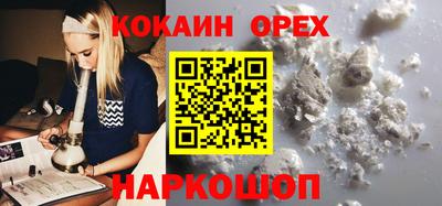 крисы Кузнецк